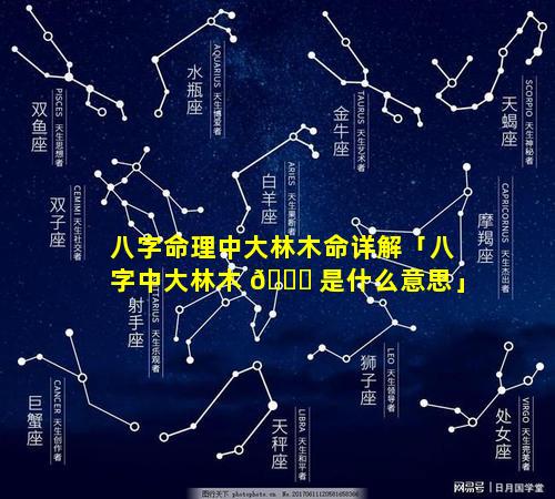 八字命理中大林木命详解「八字中大林木 💐 是什么意思」